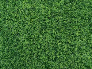 GUTTA Umělý trávník Special Mat 2x25 m