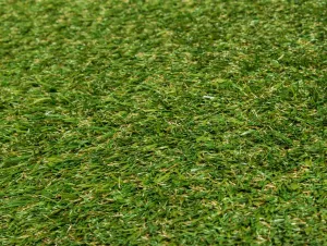 GUTTA Umělý trávník Irish Mat 2x25 m