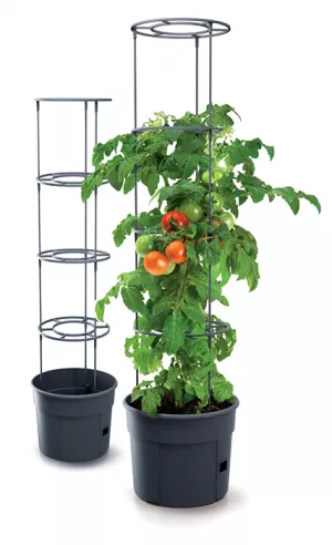 PROSPERPLAST Květináč TOMATO GROWER 29,5cm antracit