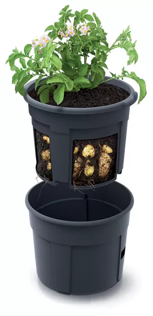 PROSPERPLAST Květináč na pěstovaní brambor POTATO GROWER antracit 29,5cm