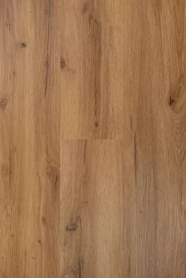 EG004460