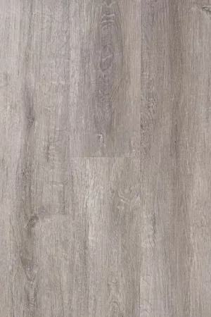 EGIBI Podlaha SPC RIGID 5,5/0,5 s podložkou REGINA 1190x228mm (2,1706m2) Premium line