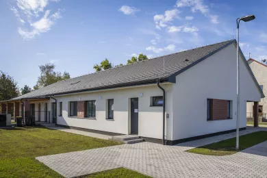 Leier krytina_carbon_1