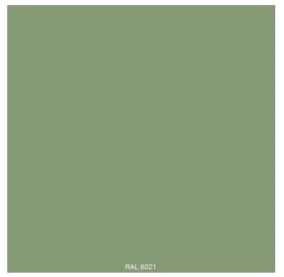 RAL6021