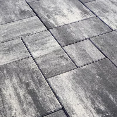 vizia onyx_1