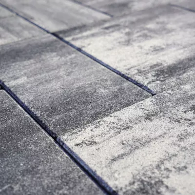 vizia onyx_2
