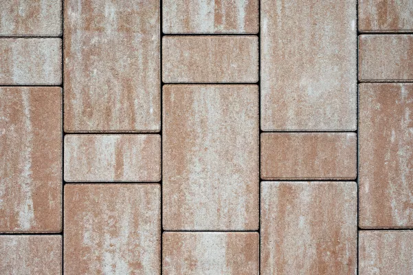 031501_2