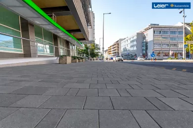 vivendo 6 - carbon
